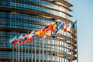 European Parliament frontal flags