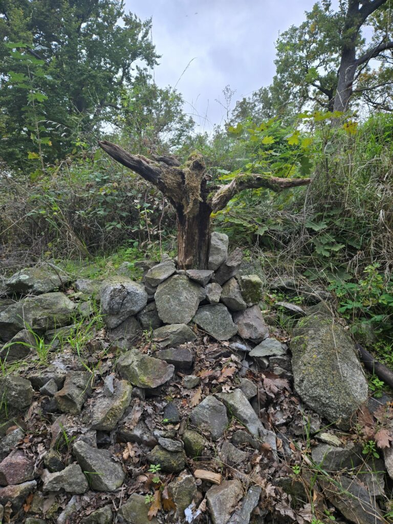 Tajomný chodník Tribečom: nová trasa, kde ožívajú záhady aj šifrovacia hra Stratený v Tribeči