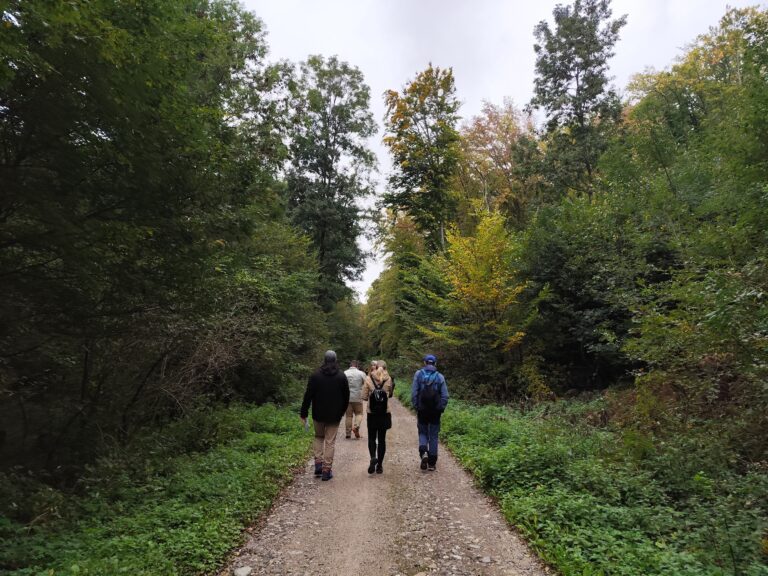 Turisti kráčajú po lesnej trase Tajomného chodníka Tribečom smerom k Čiernemu hradu.