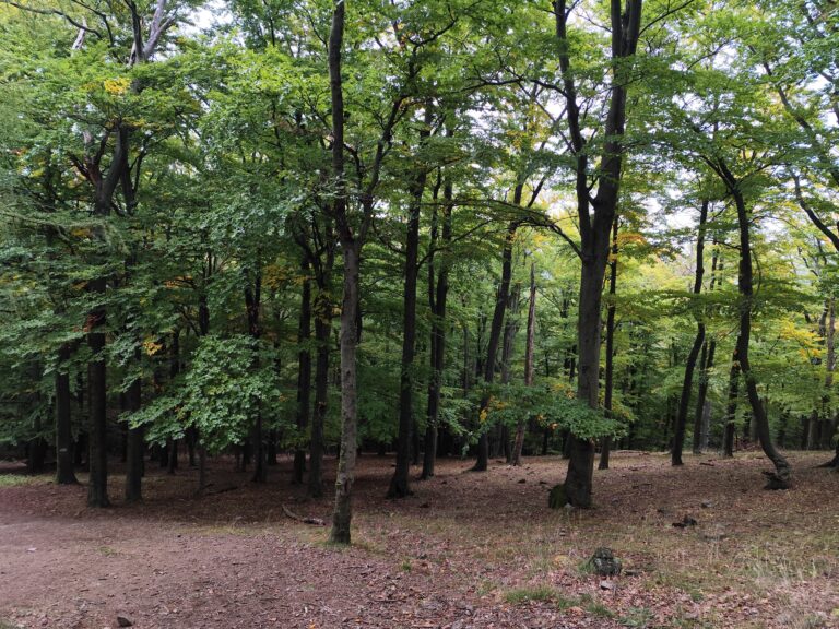 Tajomný chodník Tribečom: nová trasa, kde ožívajú záhady aj šifrovacia hra Stratený v Tribeči