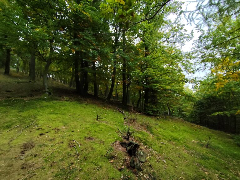 Tajomný chodník Tribečom: nová trasa, kde ožívajú záhady aj šifrovacia hra Stratený v Tribeči