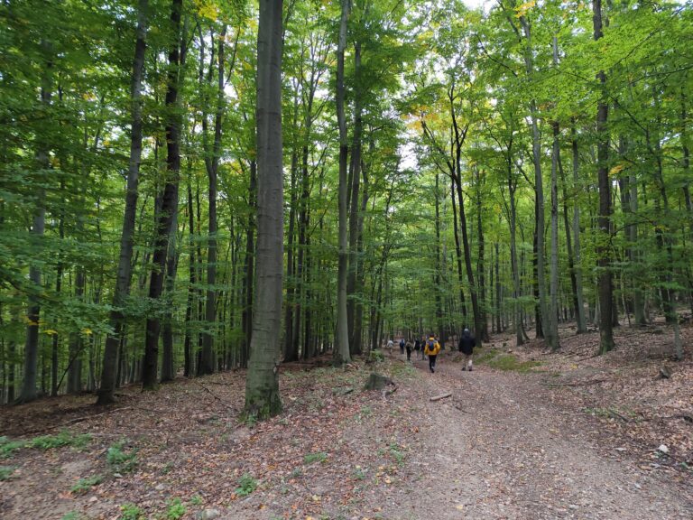 Tajomný chodník Tribečom: nová trasa, kde ožívajú záhady aj šifrovacia hra Stratený v Tribeči