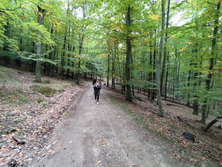 Tajomný chodník Tribečom: nová trasa, kde ožívajú záhady aj šifrovacia hra Stratený v Tribeči