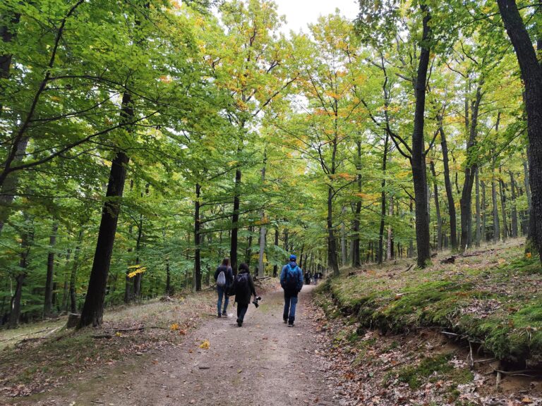 Turisti kráčajú po lesnej trase Tajomného chodníka Tribečom smerom k Čiernemu hradu
