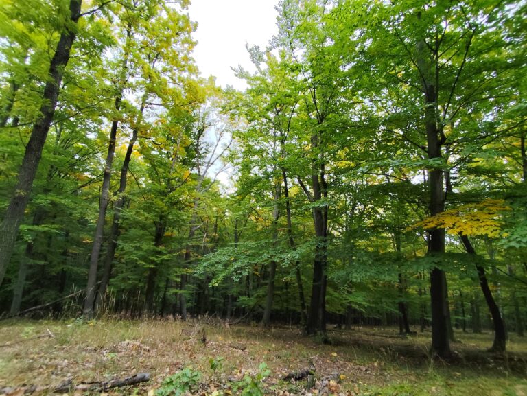 Tajomný chodník Tribečom: nová trasa, kde ožívajú záhady aj šifrovacia hra Stratený v Tribeči