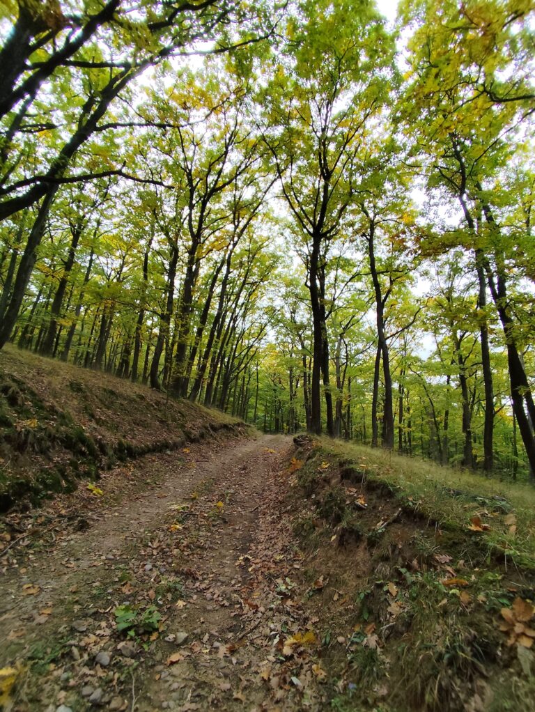 Tajomný chodník Tribečom: nová trasa, kde ožívajú záhady aj šifrovacia hra Stratený v Tribeči