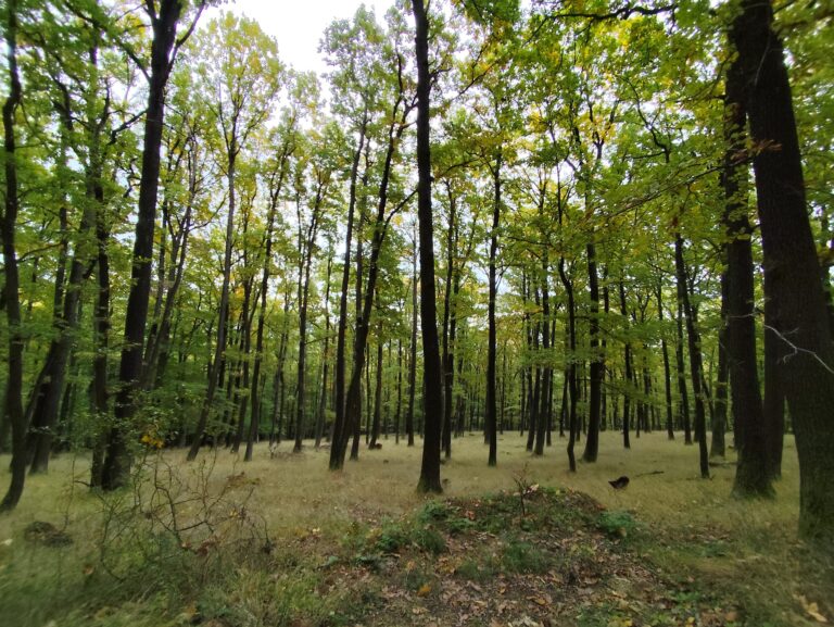 Tajomný chodník Tribečom: nová trasa, kde ožívajú záhady aj šifrovacia hra Stratený v Tribeči