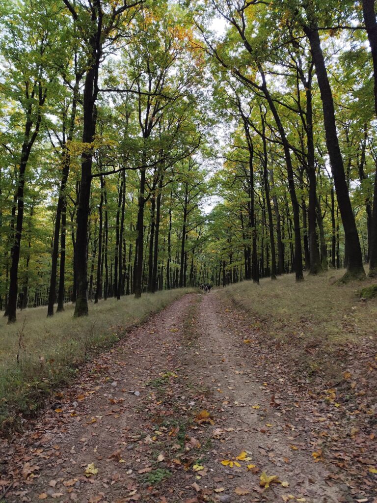Tajomný chodník Tribečom: nová trasa, kde ožívajú záhady aj šifrovacia hra Stratený v Tribeči