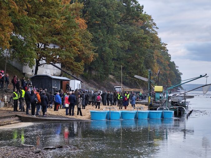 Výlov Rožmberka 2025 – tradičné rybárske divadlo na Třeboňsku