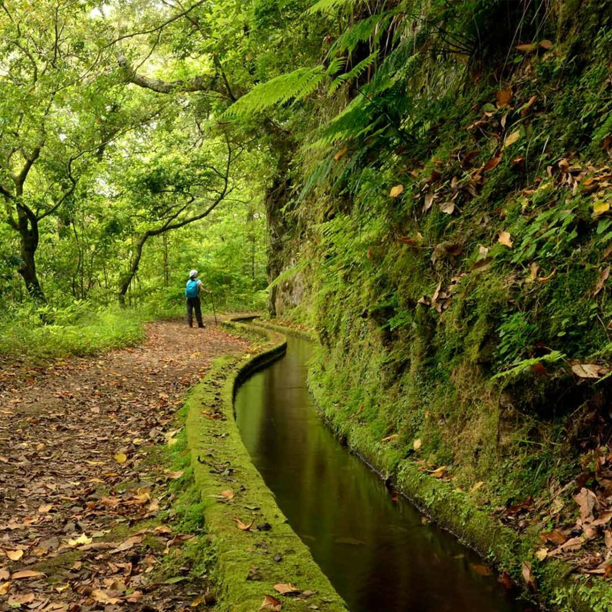 Madeira