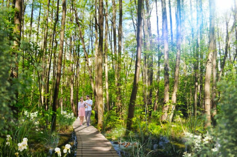 Obnova kaštieľskeho parku v Stupave