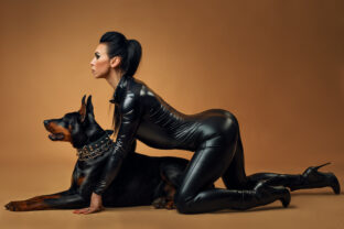 Doberman