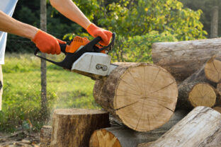 pílenie dreva