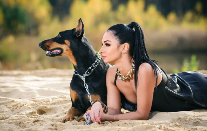 Doberman