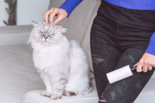 mačacie chlpy na oblečení