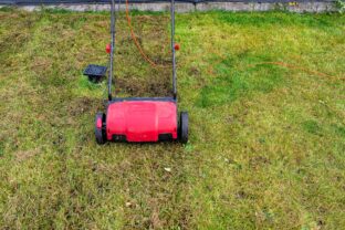 vertikutácia trávnika