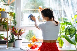 Jesenné upratovanie