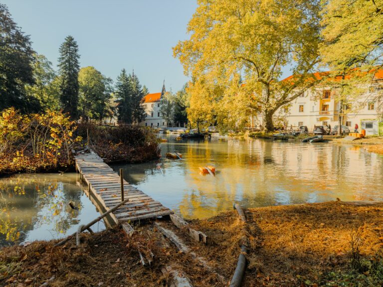 Obnova kaštieľskeho parku v Stupave