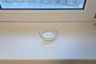 miska so soľou na okne