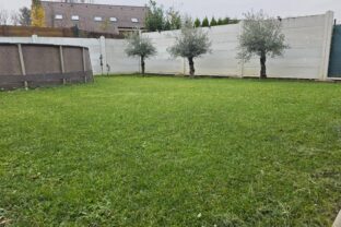 Kedy naposledy pokosiť trávnik pred zimou