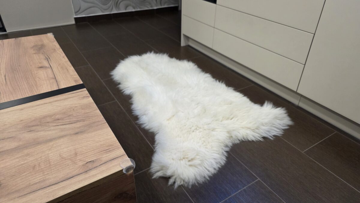 Predmety, ktoré do domácnosti priťahujú negatívnu energiu