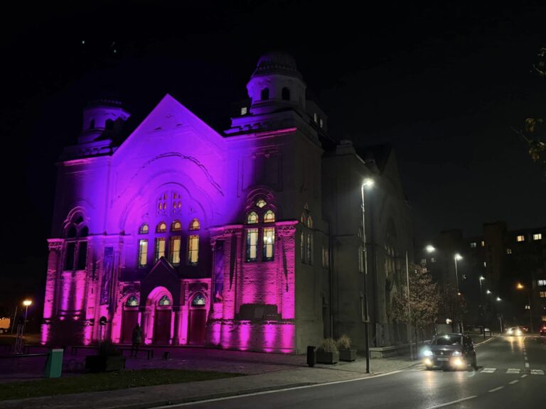 Lučenec, synagóga, Svetový deň predčasne narodených detí