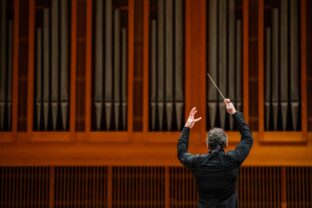 Aleksandar markovic v sfk 2_foto david hanko.jpg