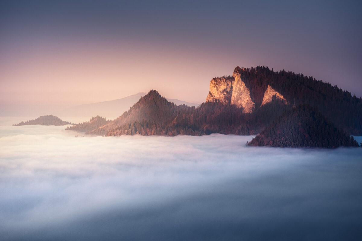 Cena predsedu poroty 2025_david ilkovic tri koruny.jpg