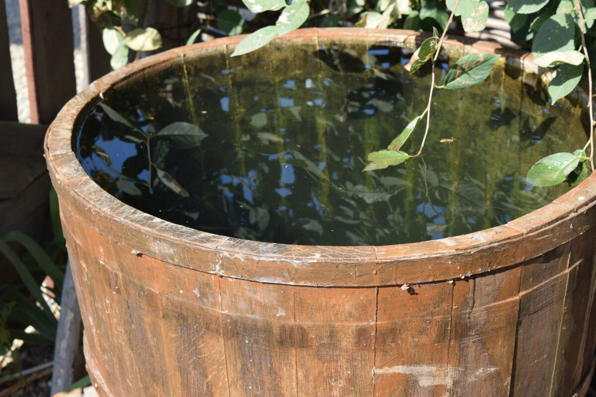 sud na dažďovú vodu