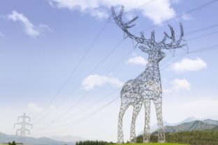 Rakúsko mení elektrické vedenia na umelecké diela: Bocian a jeleň dodávajú energiu aj krásu krajine