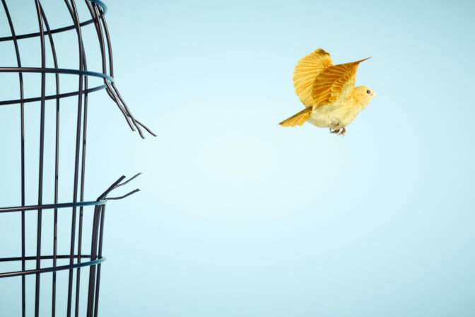 Canary escapes from bird cage. Freedom and open mind concept.  This is a 3d render illustration