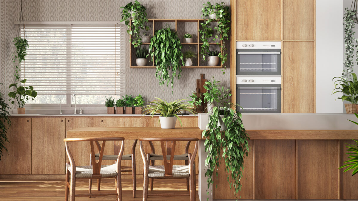 Minimal wooden kitchen in white and beige tones with island, chairs and appliances. Biophilic concept, many houseplants. Urban jungle interior design