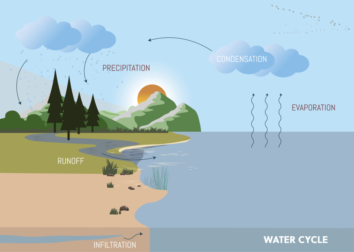 A water cycle diagram