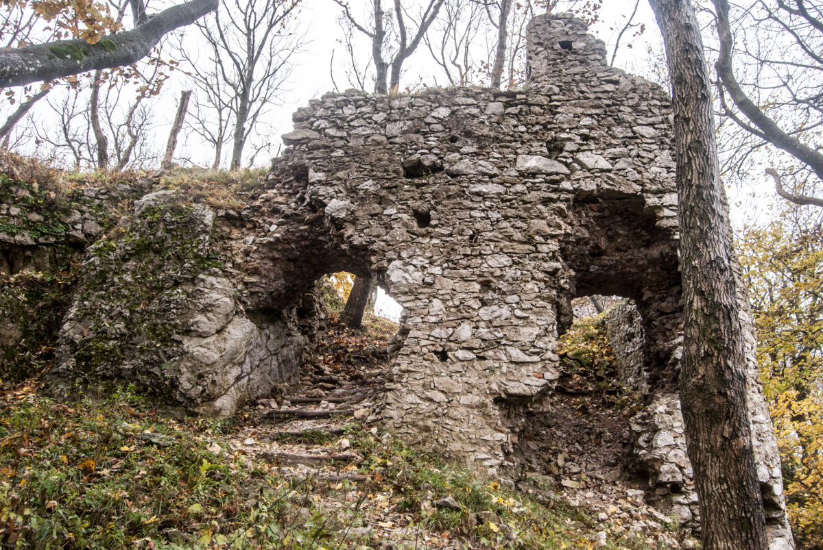 Ruins of Ostry kamen castle in Male Karpaty in Slovakia