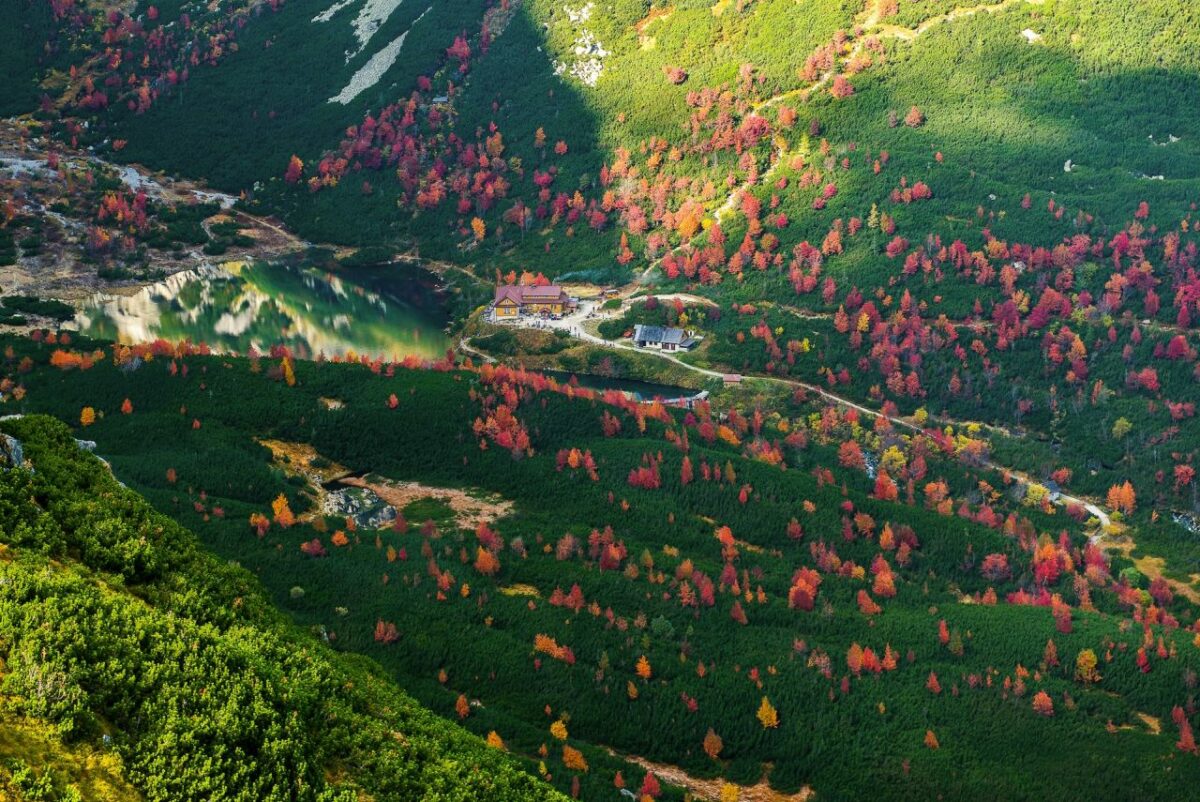 Grand prix 2025_peter dobrovsky cestou farieb vysoke tatry.jpg