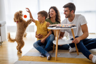 Hra so psom ako základ dokonalého vzťahu: 6 pravidiel, ktoré by mal poznať každý majiteľ