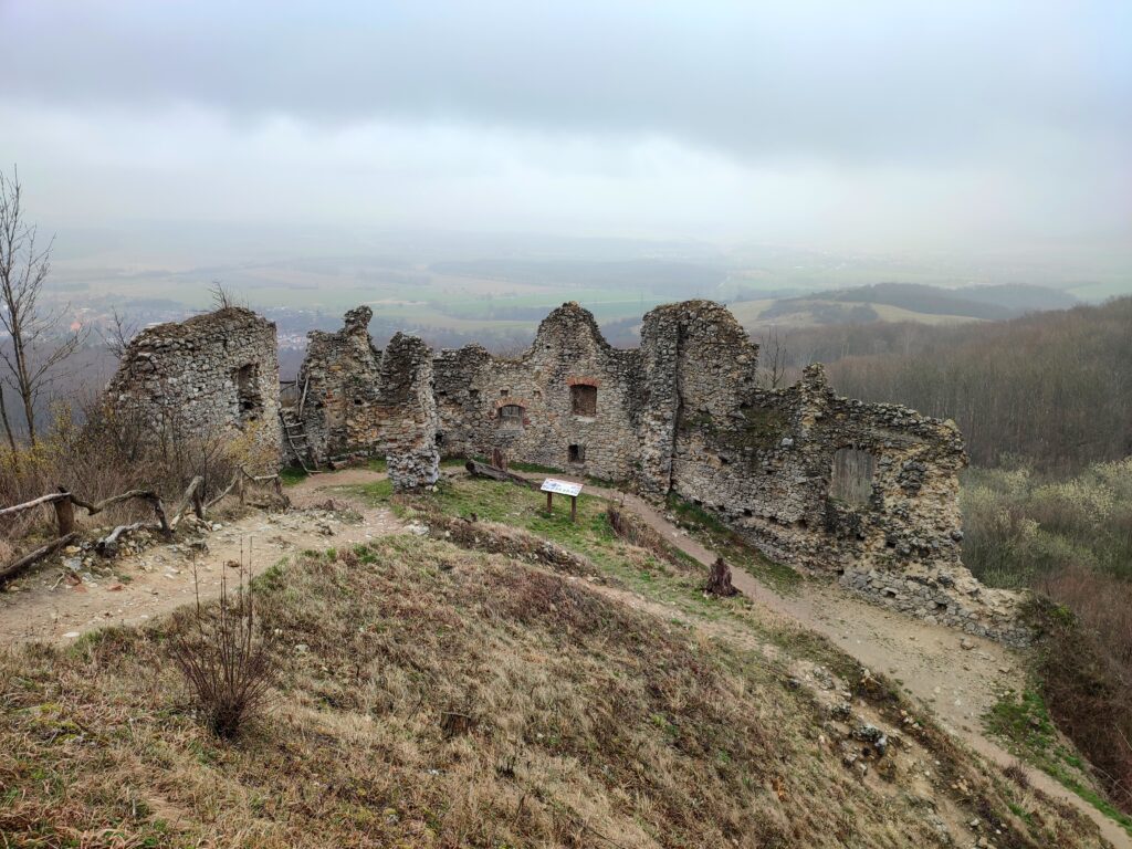 Img_20240313_170915 1024x768 1.jpg