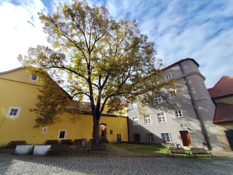 Výstava Picasso Life umožňuje nahliadnuť do života geniálneho maliara a vďaka nej môžete zažiť Picassa inak – osobnejšie, hlbšie, intenzívnejšie. 