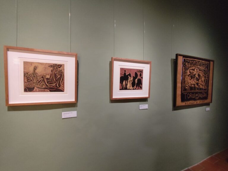 Výstava Picasso Life prináša génia moderného umenia do historického priestoru