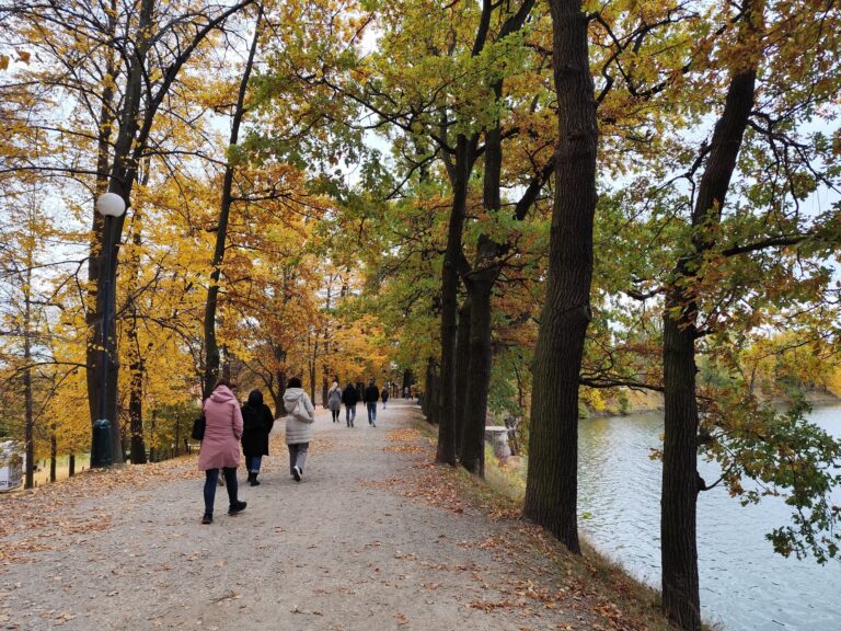 Prechádzka okolo rybníka Svět v Třeboni je krásna v každom ročnom období.