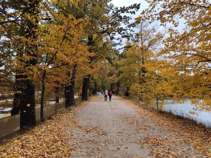 Prechádzka okolo rybníka Svět v Třeboni je krásna v každom ročnom období.