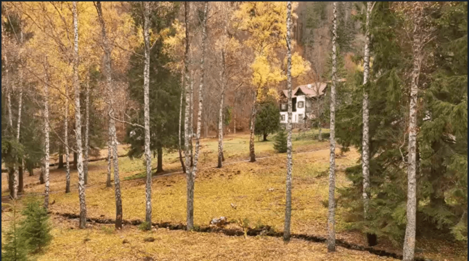 Kúpele Korytnica - stromová alej.