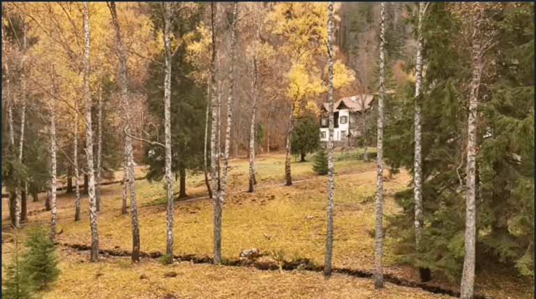 Kúpele Korytnica - stromová alej.