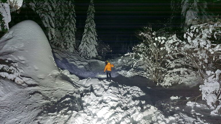 Lavína v Nízkych Tatrách