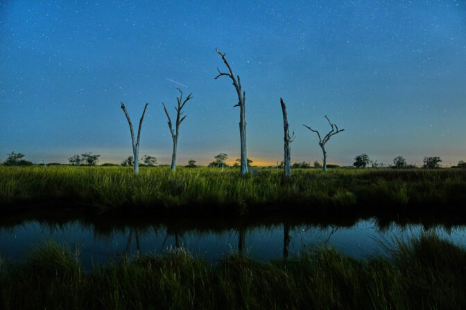 Louisiana Daily Life