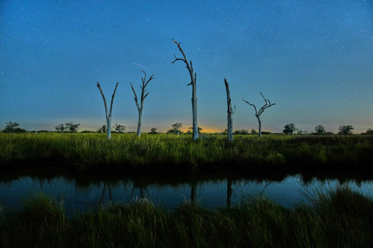 Louisiana Daily Life