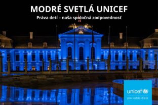 Modre svetla unicef.jpg