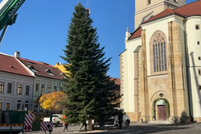 Vianočný stromček, Prešov, osadenie