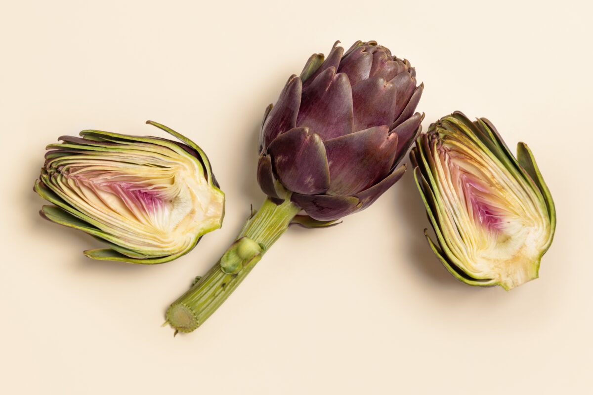 artyčoka
