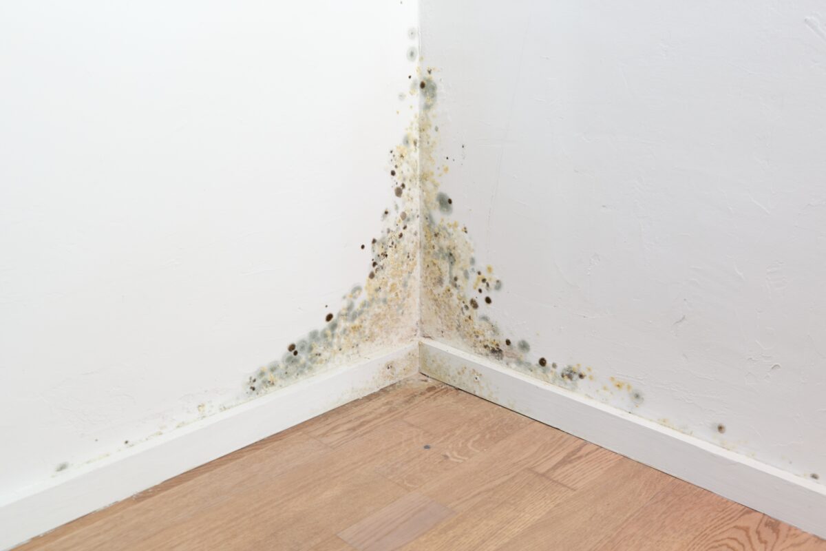 Tmavé škvrny na stene